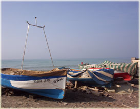 Pesca en Balerma
