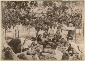 Vi&ntilde;a de Dalias sobre 1860